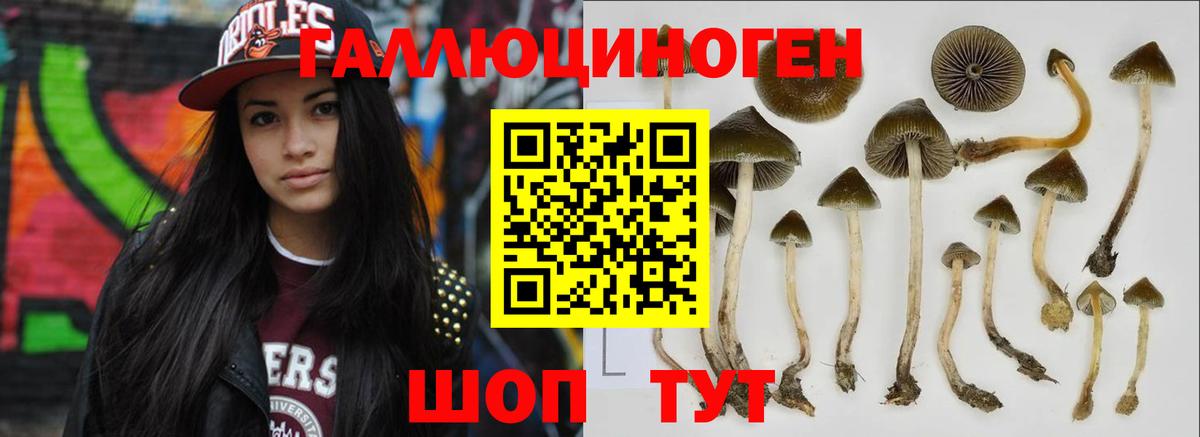 Ессентуки  Псилоцибиновые грибы мухоморы  Галлюциногенные грибы Cubensis  Вход с VPN 