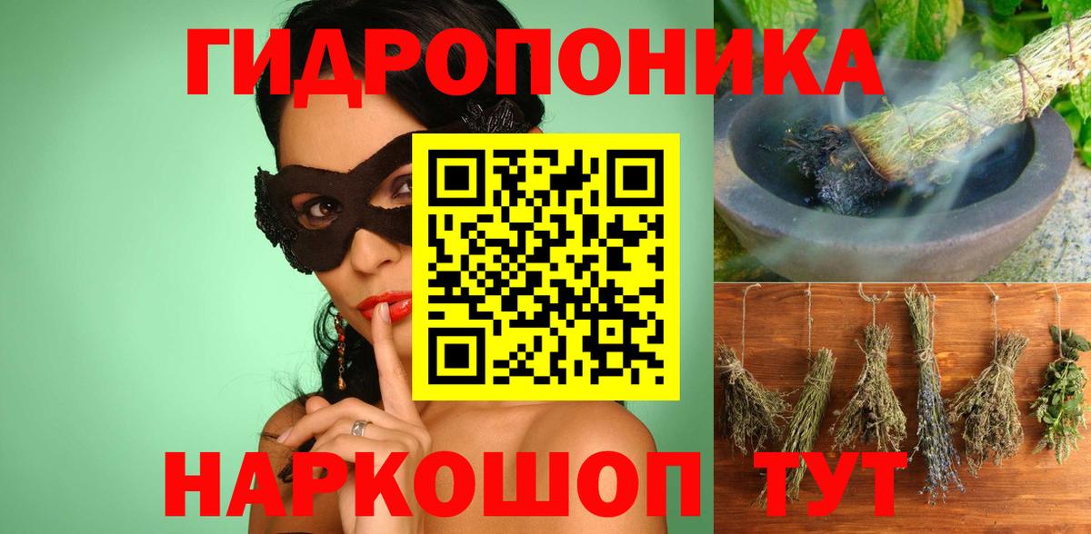 Ессентуки  Канабис планчик  Вход с VPN  Шишки марихуана OG Kush 
